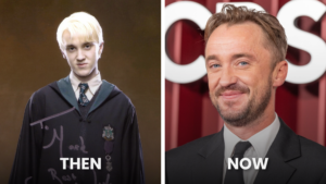 Jason Isaacs as Lucius Malfoy