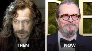 Gary Oldman as Sirius Black