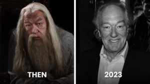 Michael Gambon as Albus Dumbledore