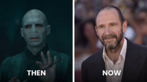 Ralph Fiennes as Lord Voldemort