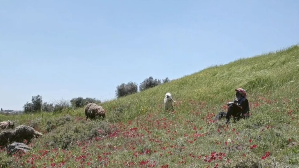Concrete Land documentary about a Palestinian Bedouin family in Jordan